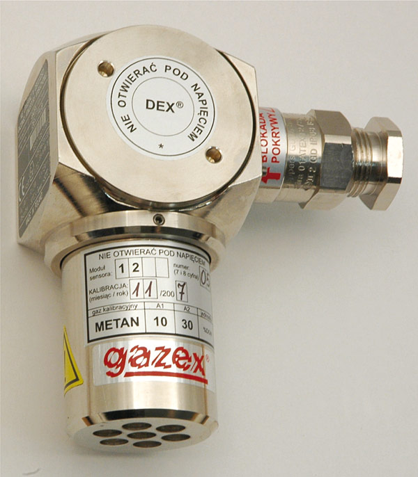 Rys. 2. Detektor typu DEX