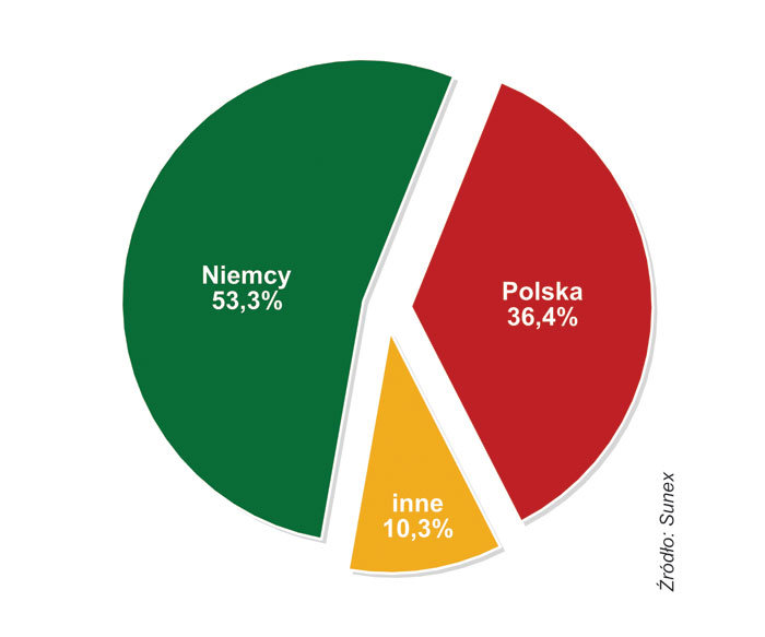 STRUKTURA PRZYCHODÓW SUNEX  W 2015 ROKU (RYNKI ZBYTU)